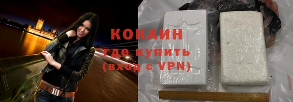 дмт Осинники