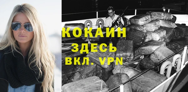 дмт Осинники