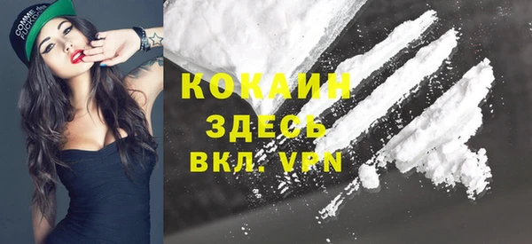 дмт Осинники