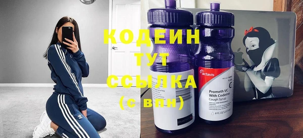 дмт Осинники