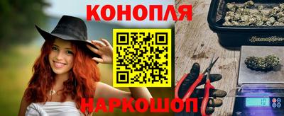 крисы Новозыбков