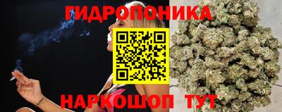 крисы Новозыбков