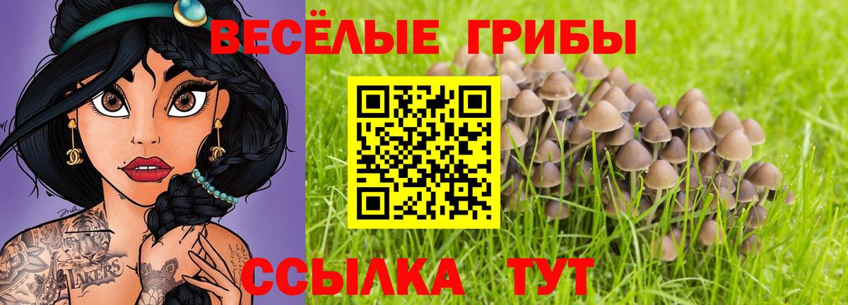 Галлюциногенные грибы Psilocybine cubensis  Вход с VPN  Осинники  Псилоцибиновые грибы ЛСД 