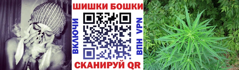 продажа наркотиков  Осинники  Бошки марихуана гибрид 
